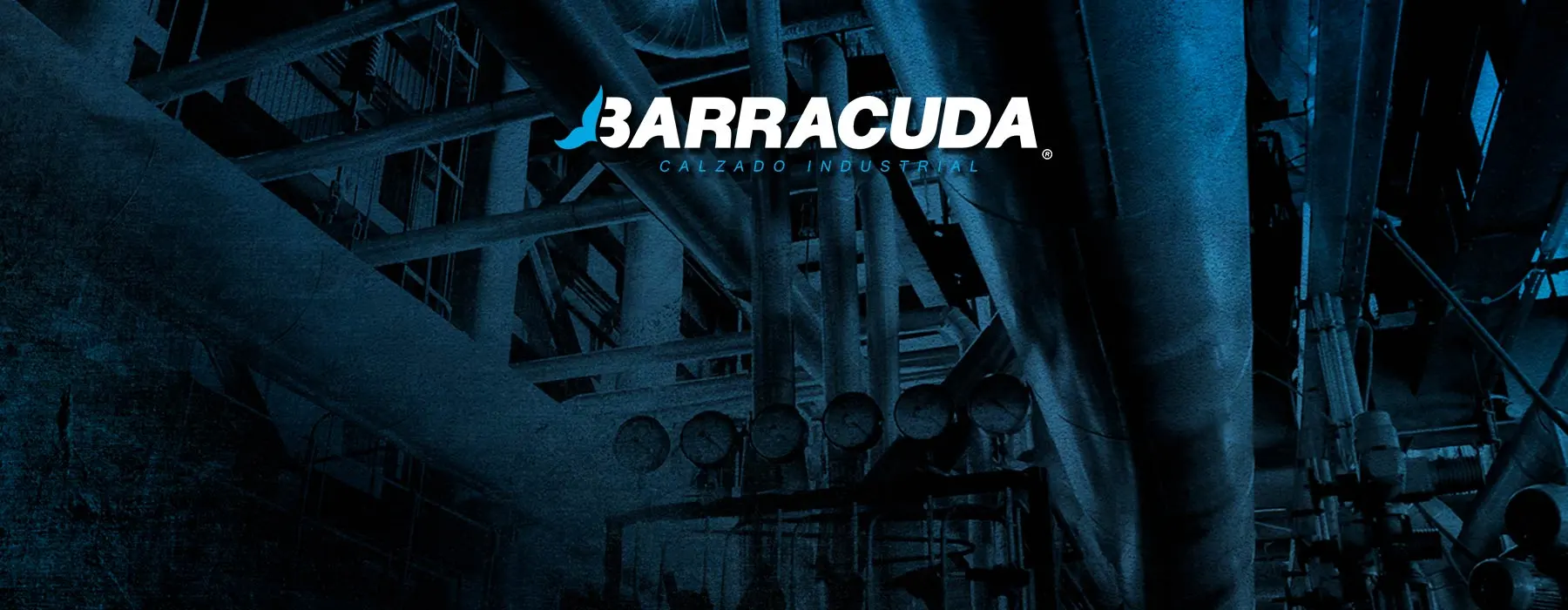 Barracuda, calzado industrial: fábrica y botas de seguridad